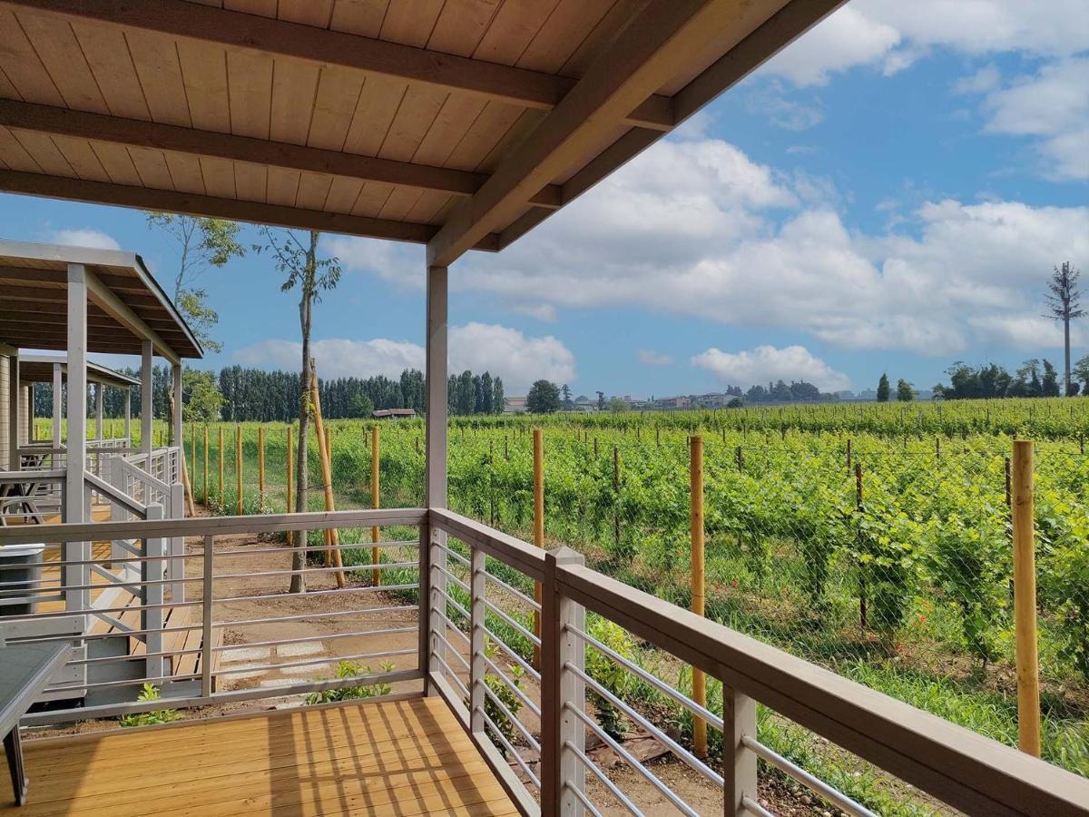 Garda Di Vino Agricamping & Wine Shop Lazise Ronchi  Exteriör bild
